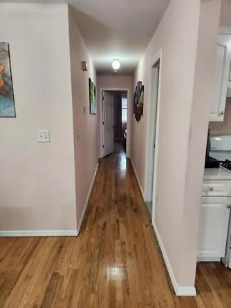 شقة Luxury Colorful 3 Bd Unit 1 10 Mins From Jfk نيو يورك